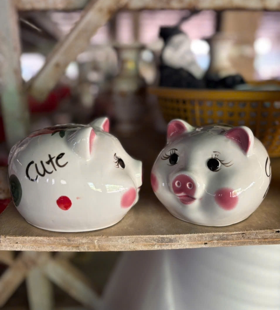 Heo sứ